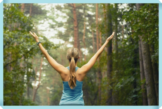 바른 자세와 몸의 균형 유지를 위한 방법과 건강한 삶을 유지하는 방법 1 건강한 삶을 유지하기 위한 방법
