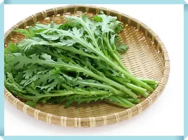 쑥갓의 다양한 효능과 건강에 미치는 영향 알아보기 1 쑥갓의효능